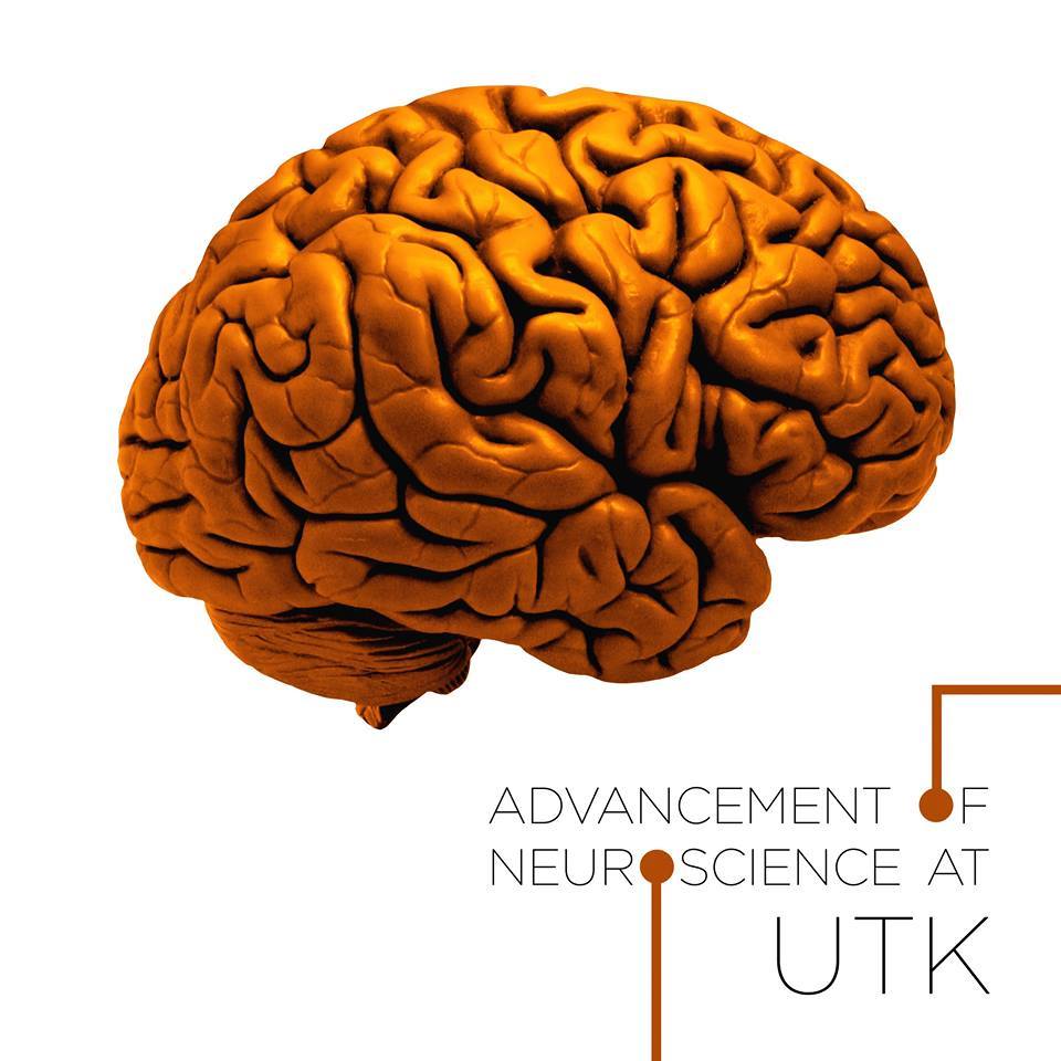 Advancement of Neuro at UTK